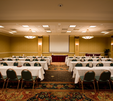 Hotel Conference Room AV